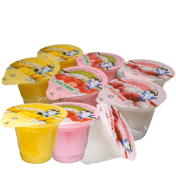 6in1 Pudding Cup With Nata De Coco (130g)
