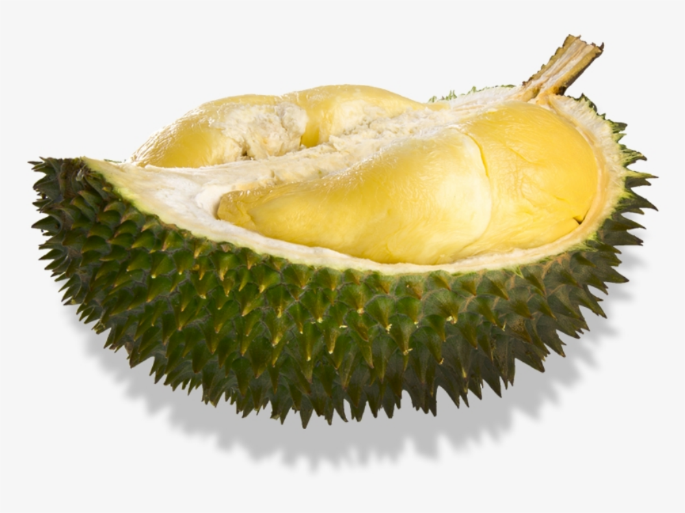 Durian D197 Musang King