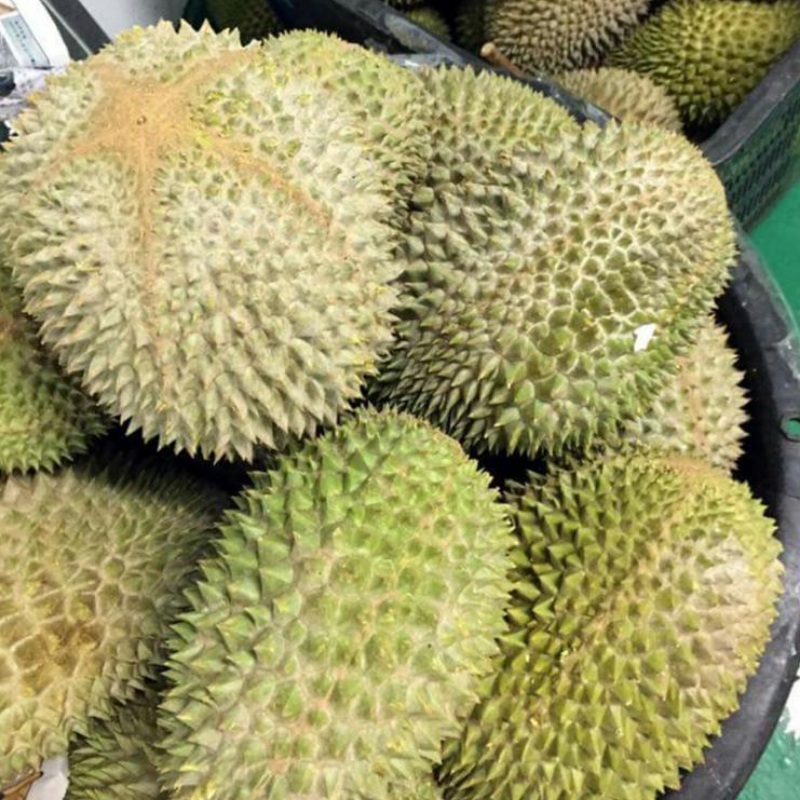 Durian D197 Musang King