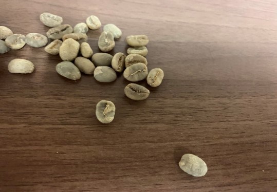 LUWAK COFFEE BEANS