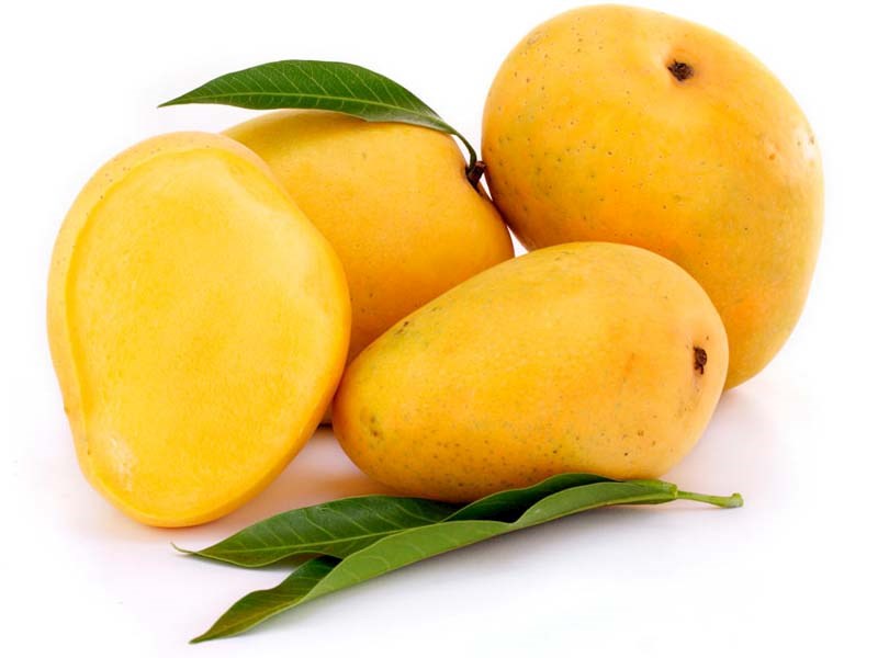 MANGO