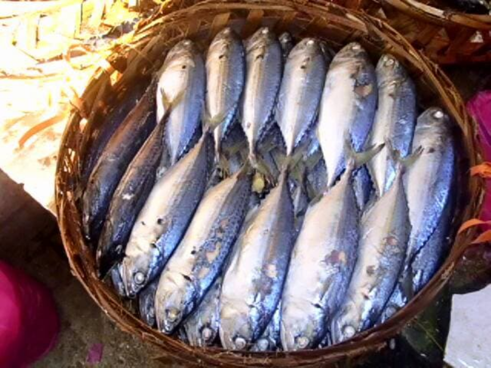 Marinated & Cooked Ikan Rebus