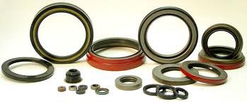 Oil Seals
