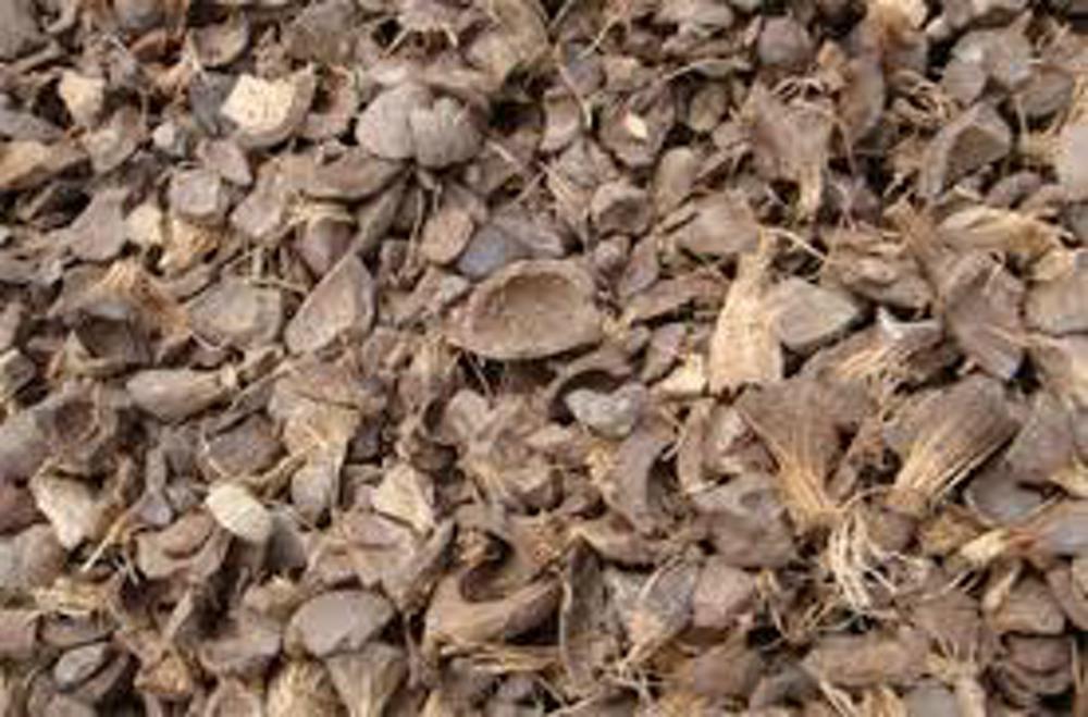 Palm Kernel Shell (PKS)