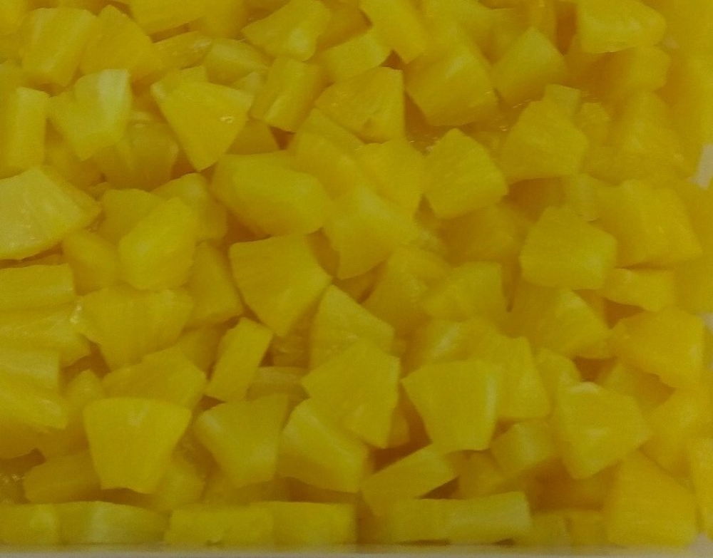 Reico Canned Pineapple Tidbits in Light Syrup - 3.03kg (淡糖浆菠萝块碎罐头 - 3.03kg)