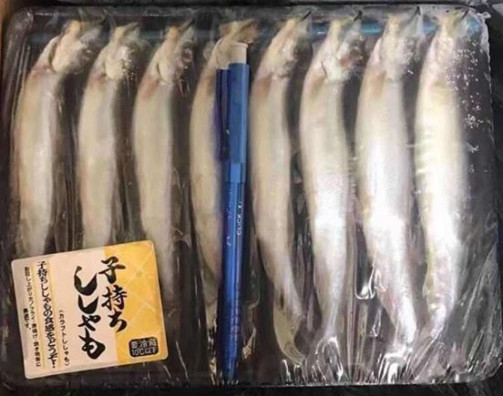 Shisamo