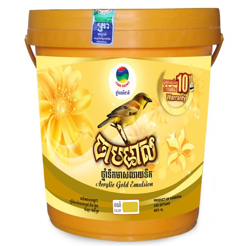 Water Base Decorative Paint