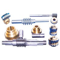 Worm Gear & Worm Screw