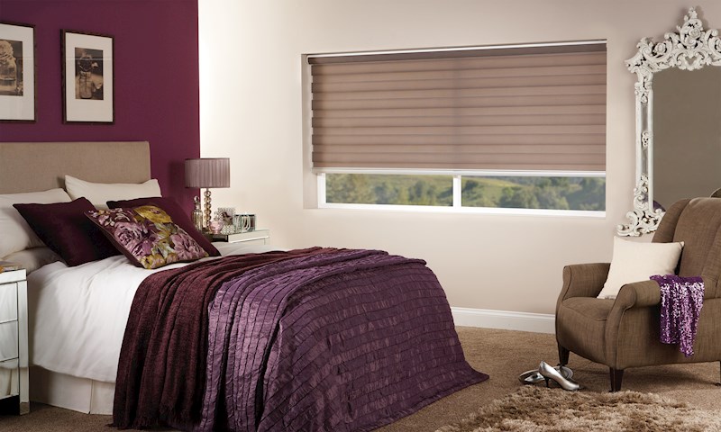 Zebra Blinds